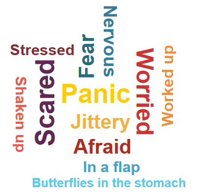 Scared, panic, worried, fear, jittery, afraid, nervous, butterflies in the stomach,worked up, stressed, in a flap, shaken up