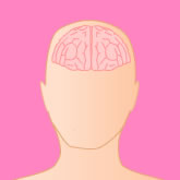 Outline of head and brain