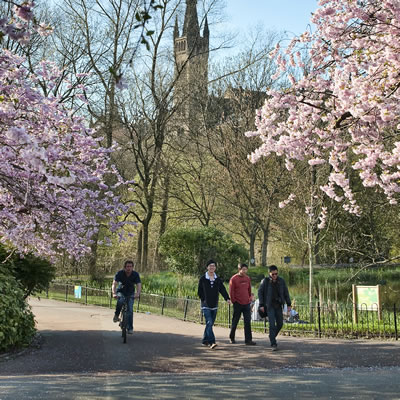 Park scene showing a group of people walking and cycling