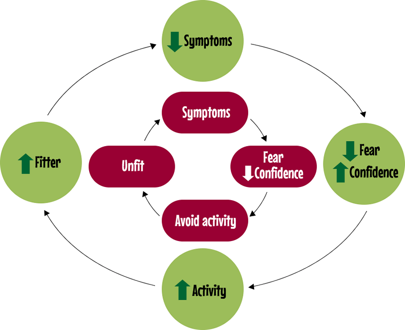 Cycle of inactivity - Symptoms - Fear/Confidence - Activity - Fitter