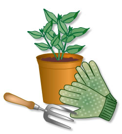 Cartoon image showing gardening gloves, fork and plant